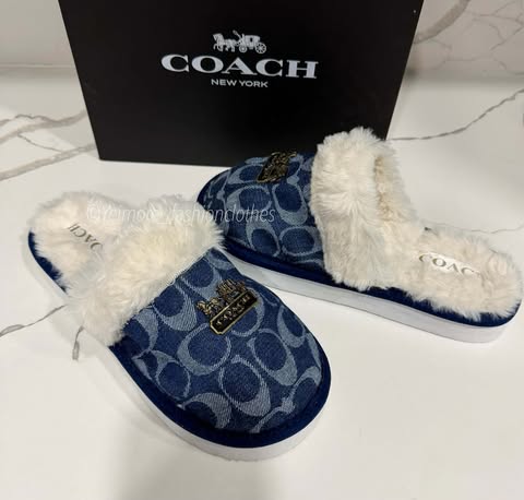 Slipper adult