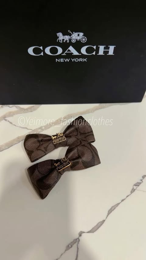 Pair of bows