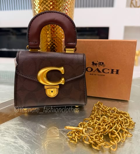 Purse great quality (with box, includes chain)