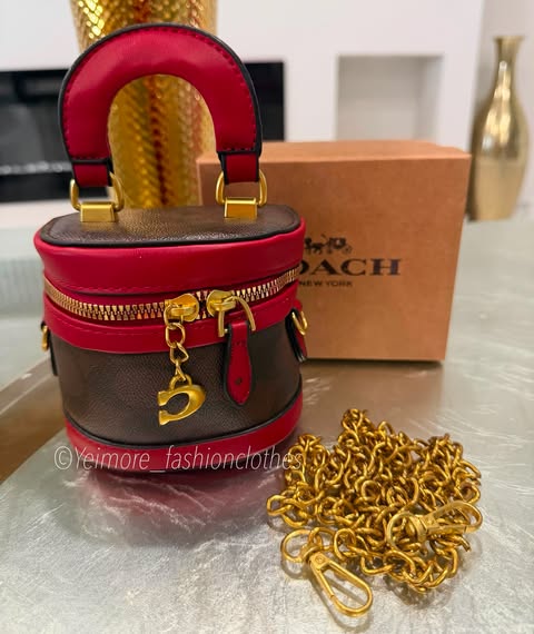 Purse great quality (with box, includes chain)