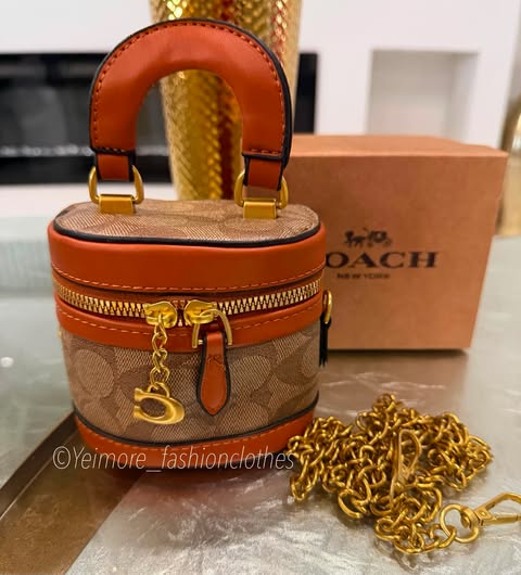 Purse great quality (with box, includes chain)