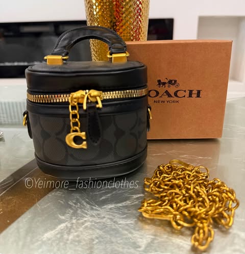 Purse great quality (with box, includes chain)
