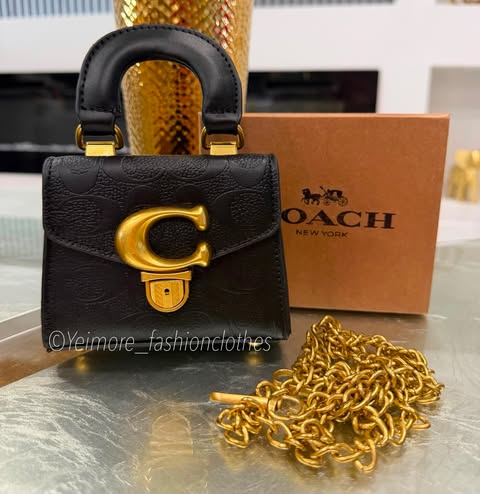 Purse great quality (with box, includes chain)