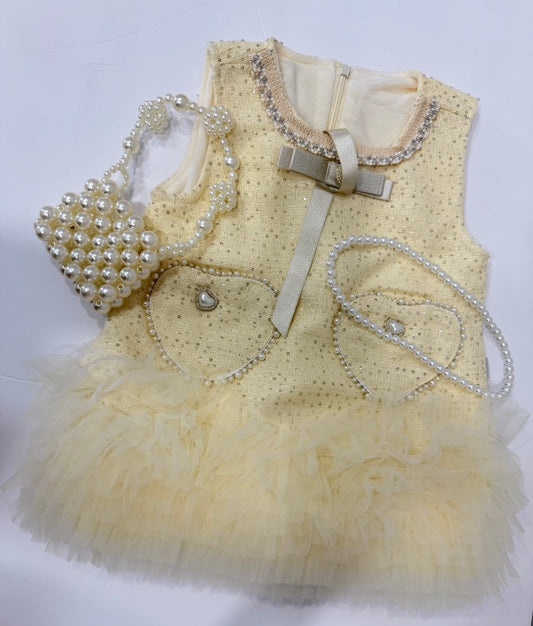 Girl's dress includes pearl bag