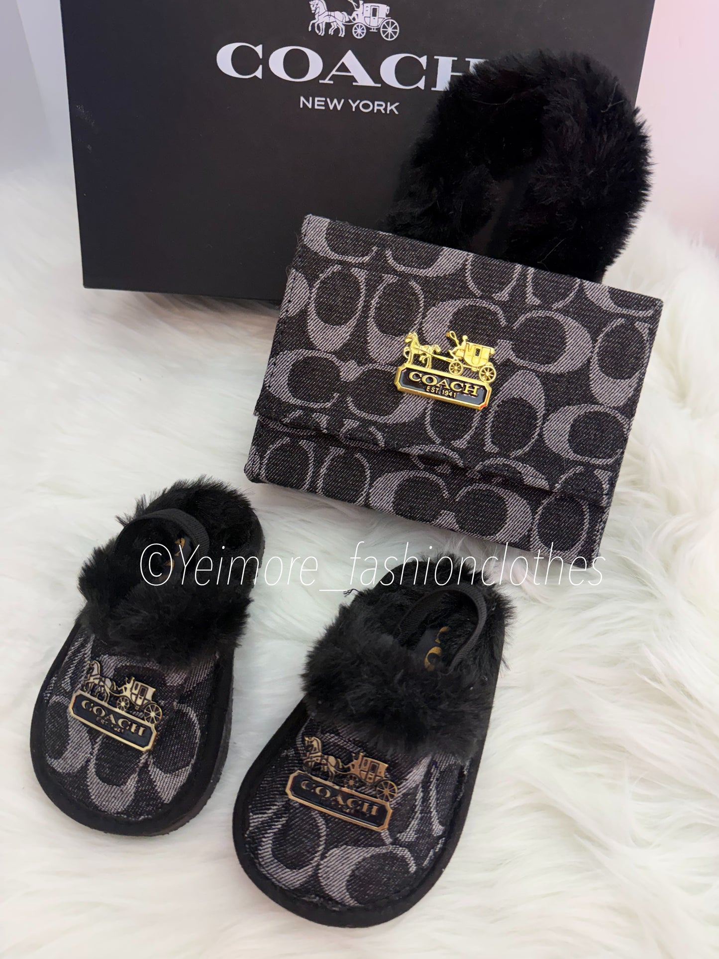 slippers coach ( not purse)